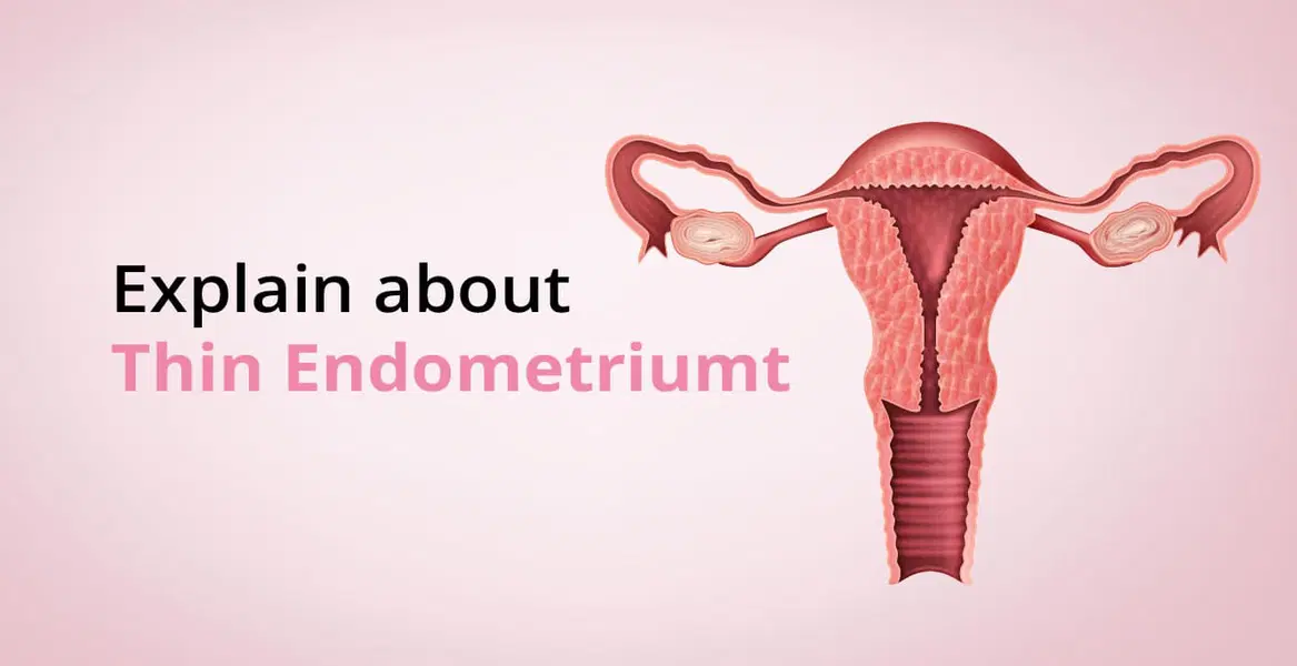 Thin Endometrium: Causes, Symptoms, Diagnosis, and Treatments 