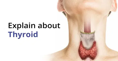 హైపోథైరాయిడిజం సంతానోత్పత్తిని ఎలా ప్రభావితం చేస్తుంది