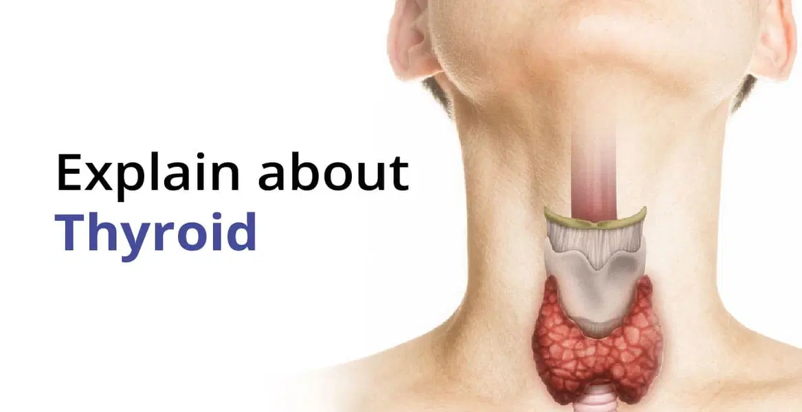 How Does Hypothyroidism Impact Fertility