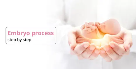 உறைந்த கரு பரிமாற்ற செயல்முறையை படிப்படியாகப் புரிந்துகொள்வது