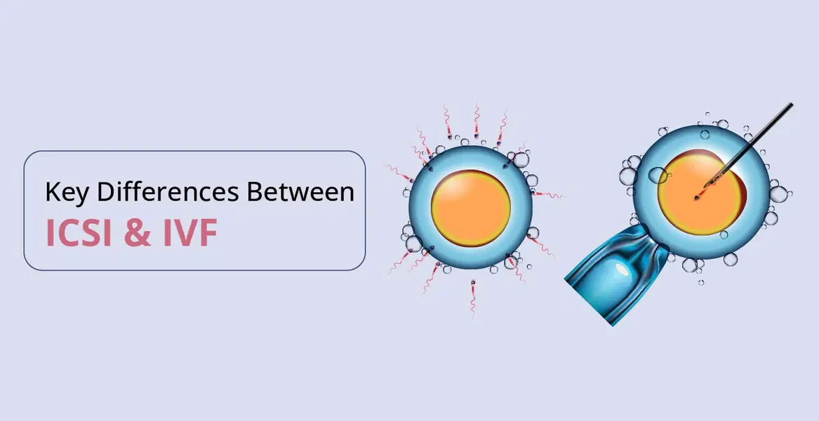 ICSI वि IVF: मुख्य फरक समजून घेणे