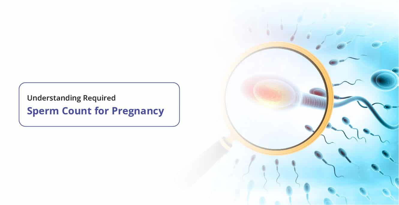 ಗರ್ಭಾವಸ್ಥೆಯಲ್ಲಿ ವೀರ್ಯ ಎಣಿಕೆ ಹೇಗಿರಬೇಕು?