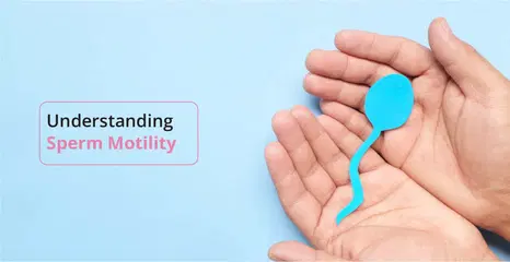 ஆண் கருவுறுதலில் விந்தணு இயக்கத்தின் பங்கு