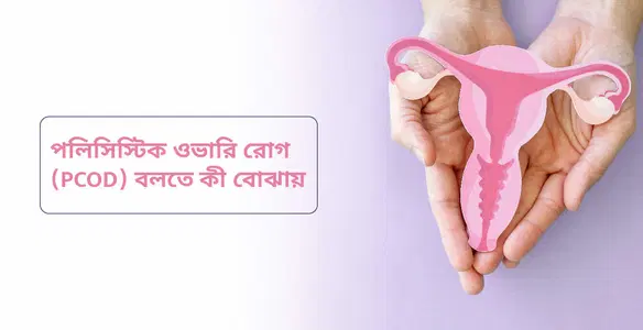 পলিসিস্টিক ওভারি রোগ (PCOD) বলতে কী বোঝায়: একটি সংক্ষিপ্ত আউটলুক
