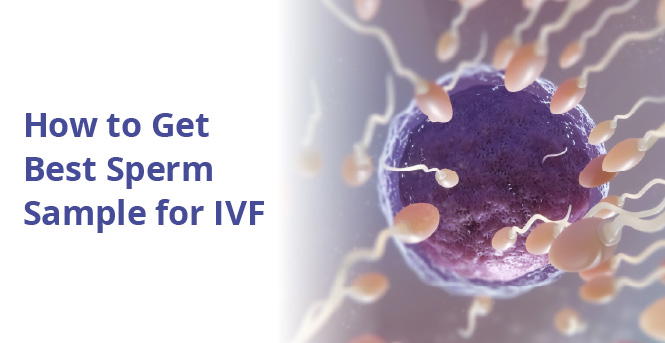 How to Get the Best Sperm Sample for IVF