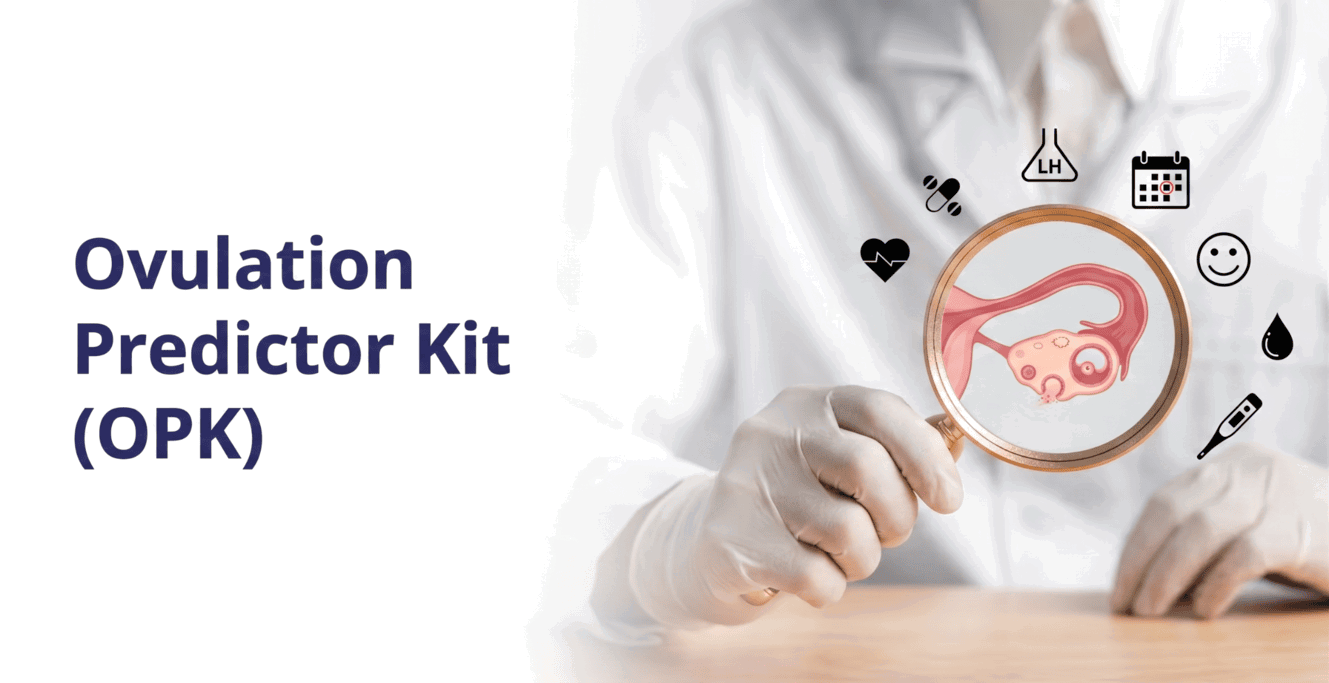 How to Use an Ovulation Predictor Kit (OPK)?